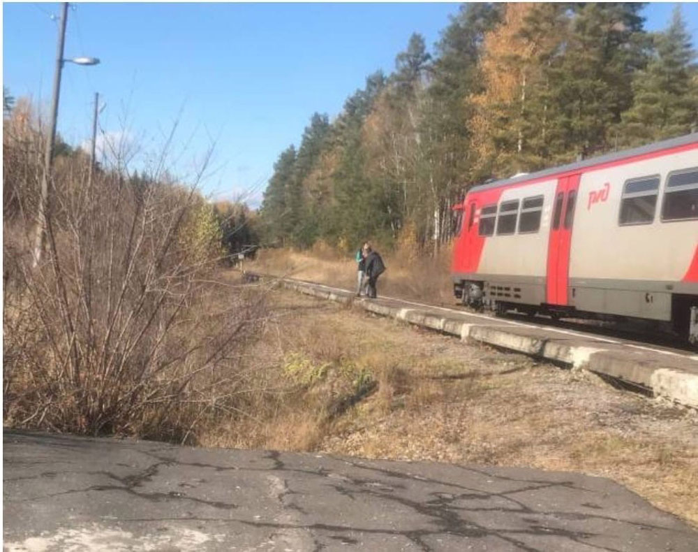 Возле железнодорожных путей под Брянском заметили регулярных «копателей» •  БрянскНОВОСТИ.RU