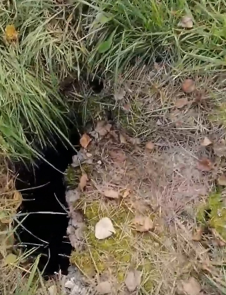 Возле многоквартирного дома в Фокино заметили канализационную ловушку