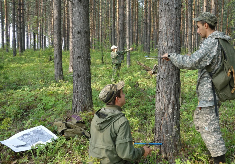 Брянские специалисты начали «перепись» калужских лесов