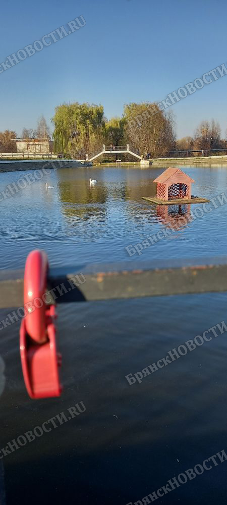 Брянское МЧС подсчитало часы жизни в осенней воде