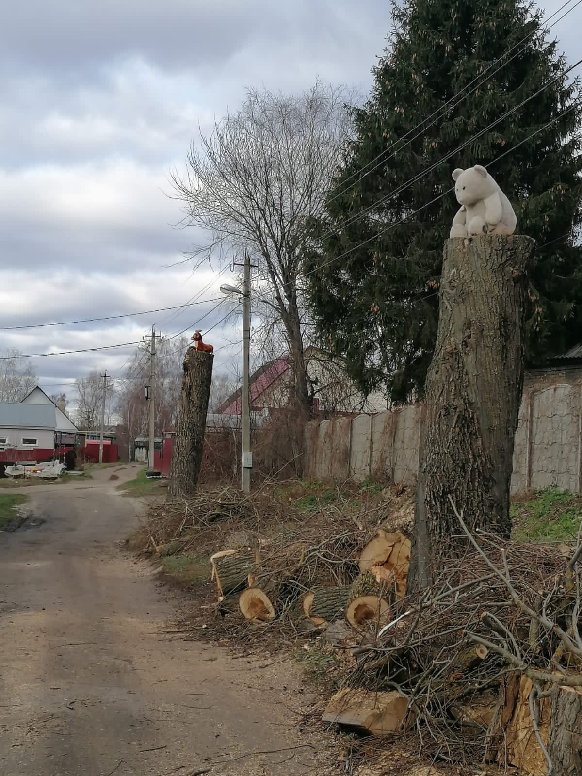 Поселок брянск. Садоводчество Надежда Брянск поселок Бордовичи. Поселок. Сельская обрубка. Панорама улиц Бордовичи Брянск.