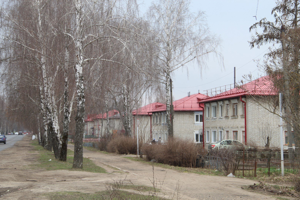 Столица Брасовского района осталась без света перед зимой