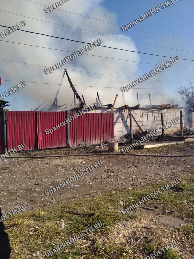 В Новозыбкове назвали причину большого пожара на Маяковского