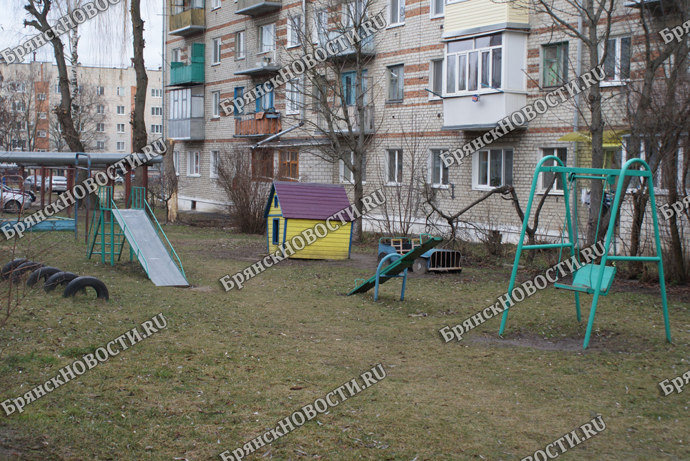 Детские площадки «просканировали» в Брянской области