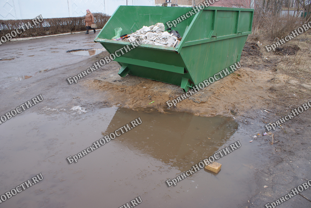 Более сотни бизнесменов в Брянской области задолжали за вывоз мусора