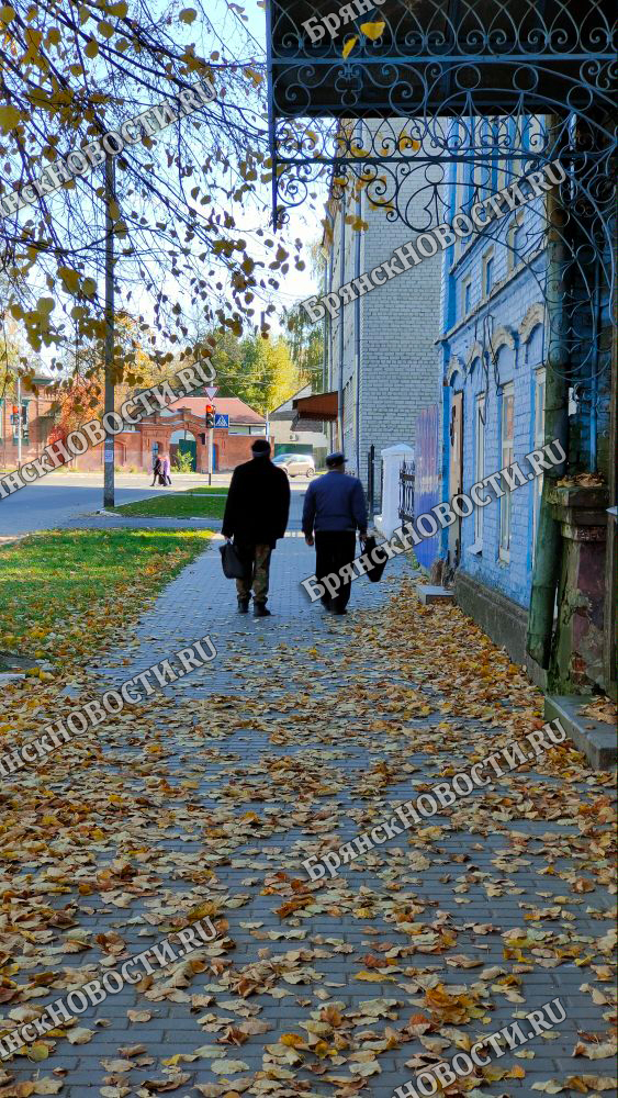 В Брянской области 17 процентов от всех жителей составляют пожилые люди