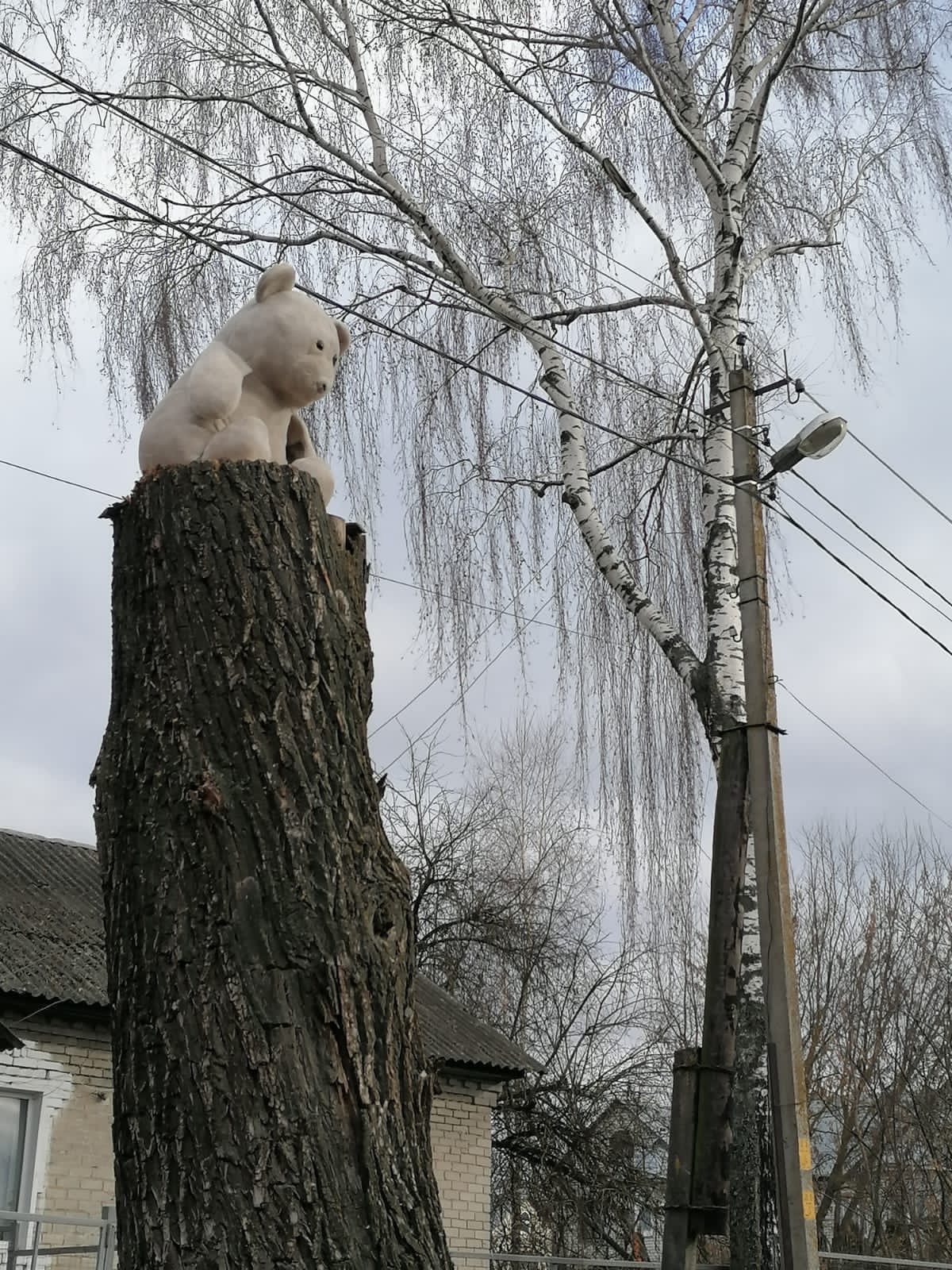 Поселок брянск. Сельская обрубка.