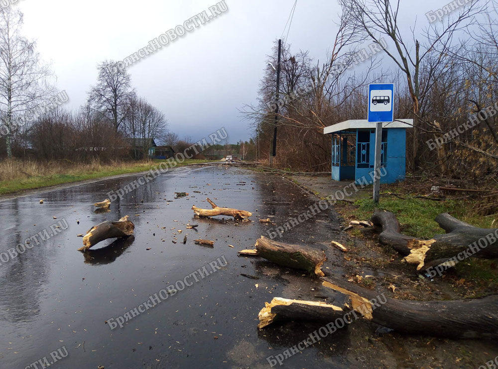 Ноябрьский шторм натворил бед в Новозыбковском округе