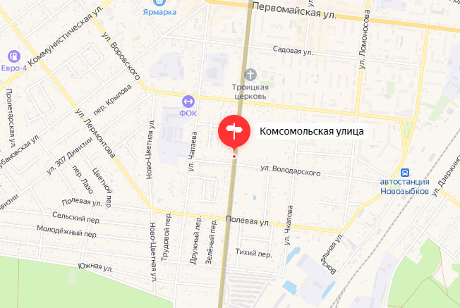 В Новозыбкове автомобилист обесточил 350 частных домов