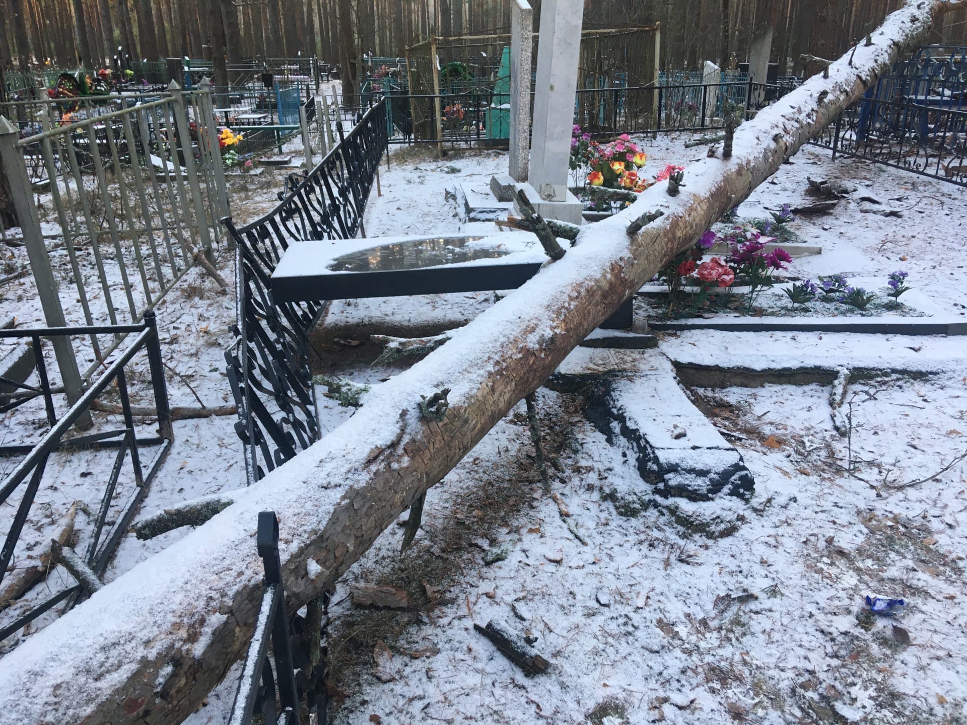 Поваленные ураганом деревья разрушили памятник герою войны в Брянском районе