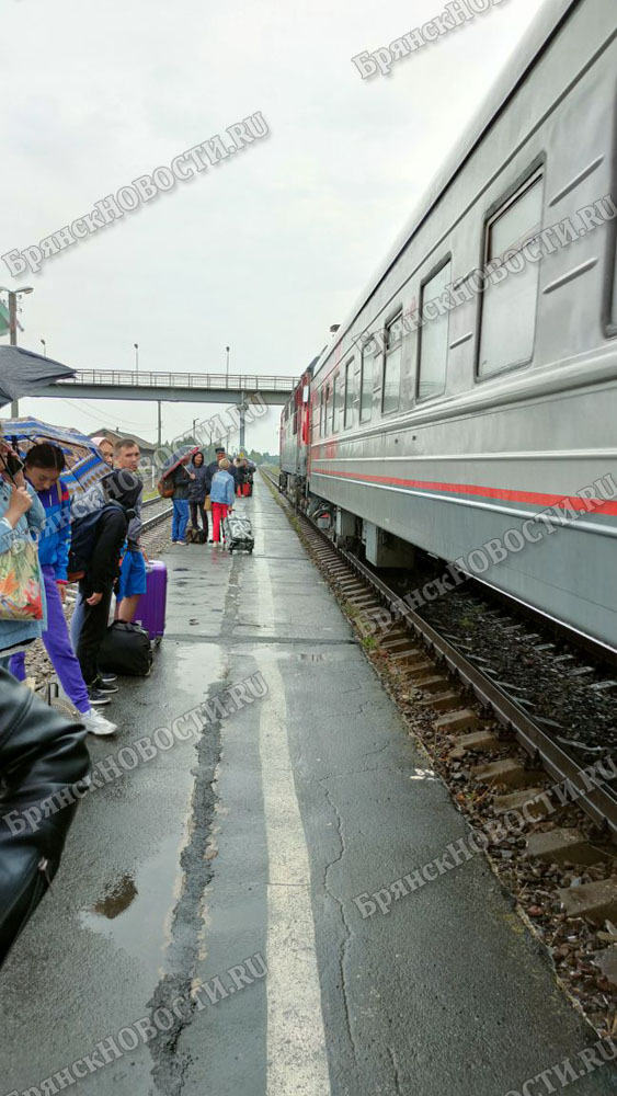 Уборщица вагона в Брянске оставила пассажира без паспорта и 100 000 рублей