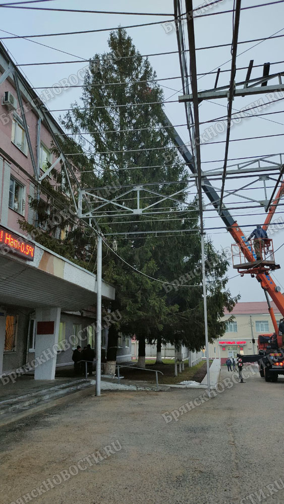 Новогодняя ель в Новозыбкове действительно оказалась сюрпризом