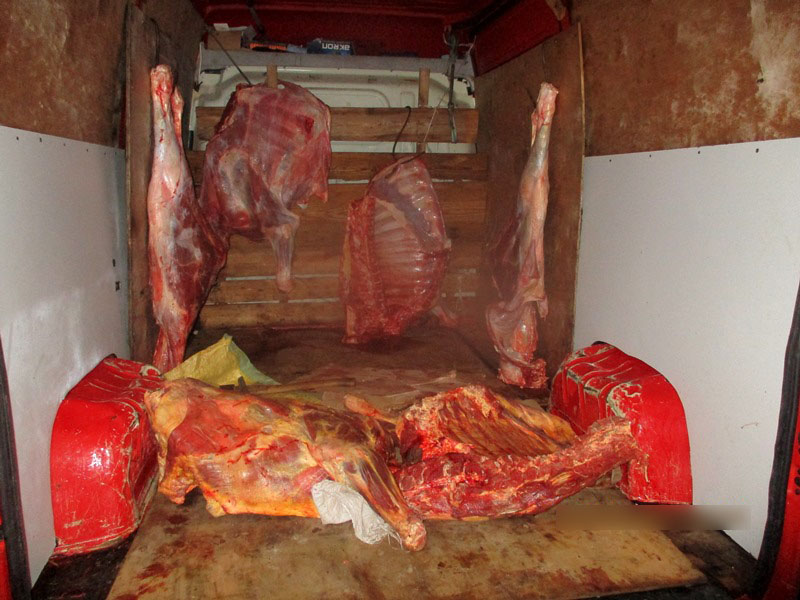 Двести кило говядины утилизировали в Брянской области