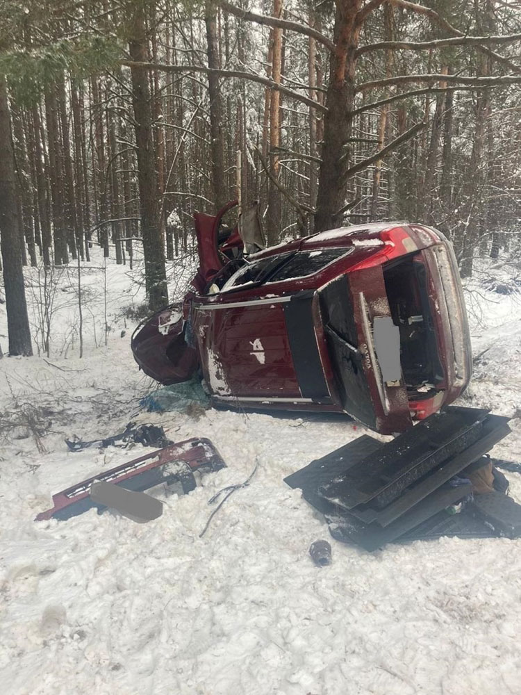 Автомобиль слетел с брянской трассы и влетел в дерево