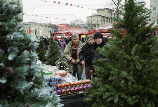 Елочные базары в Брянске откроются с 17 декабря