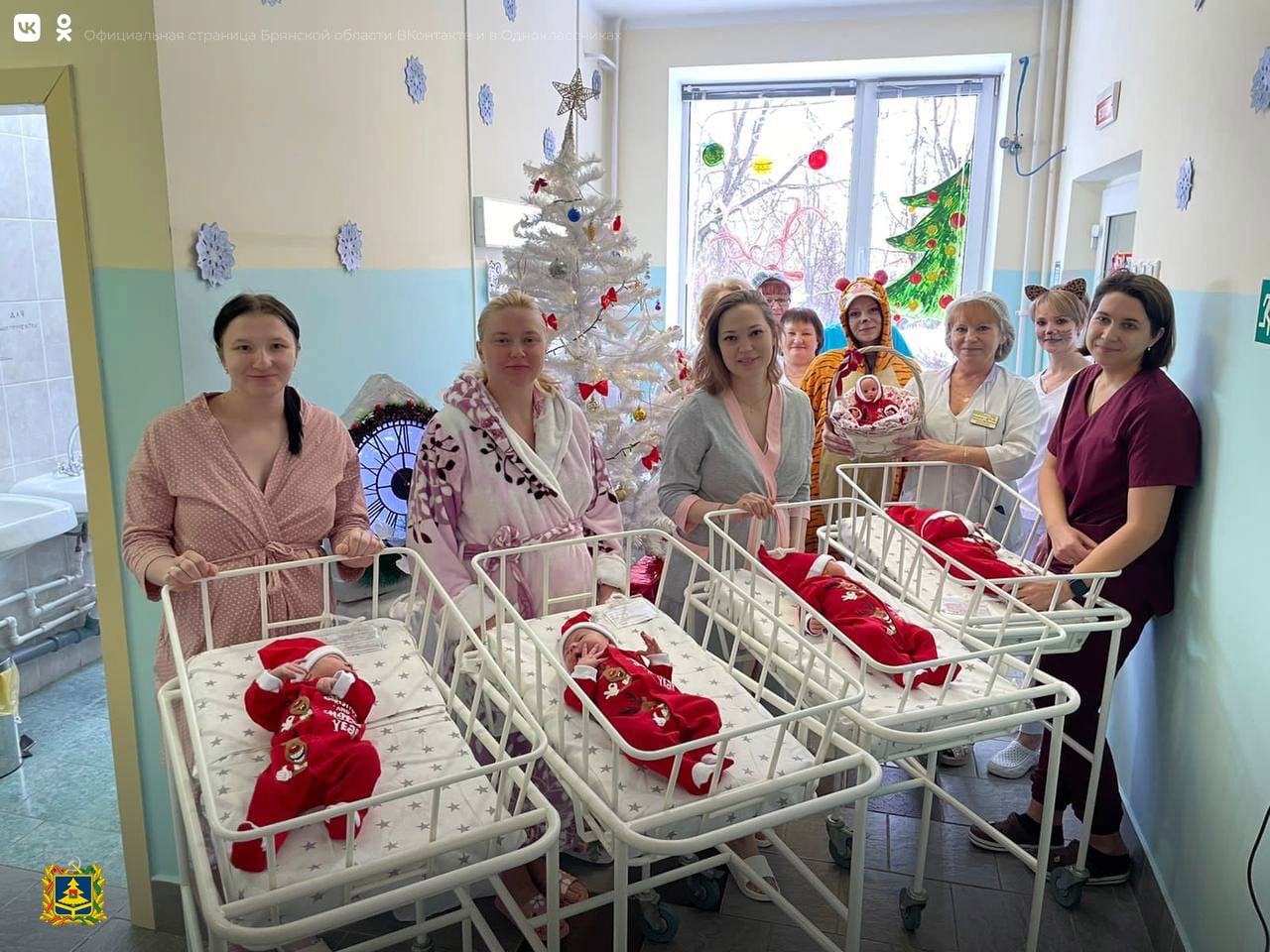 В Брянске новогодний бум новорожденных «дедов морозов»