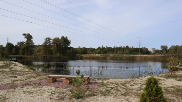 Слив канализации в пруд на Заставище в Брянске погубил рыбу