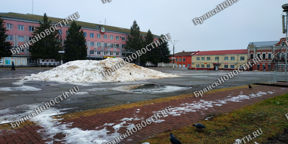 Новогодняя ель на площади в Новозыбкове не дожила до Крещения