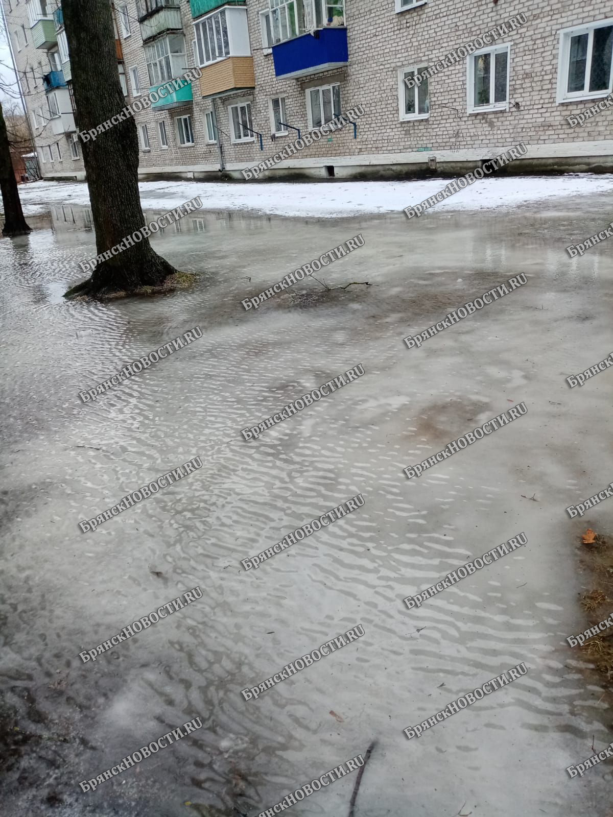 Дороги и тротуары Брянской области оказались в ледяном «панцире» после перепада температур
