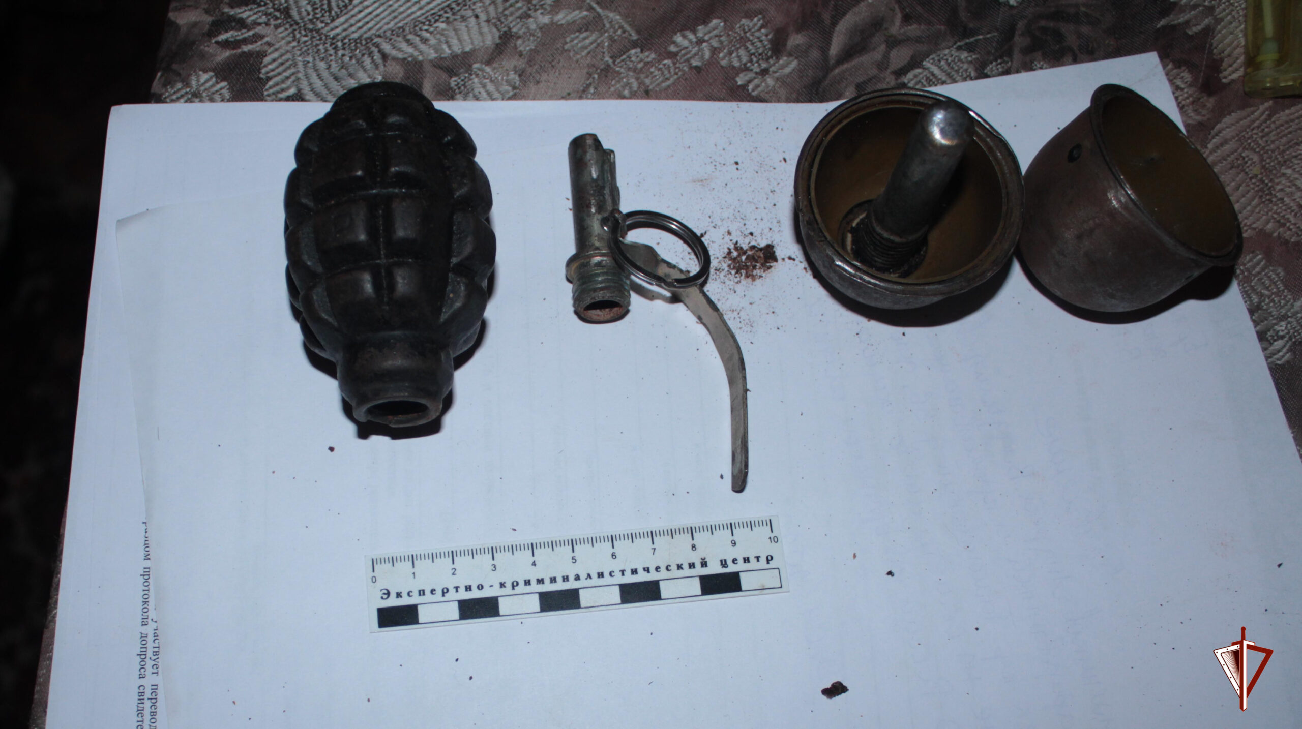 Во дворе дома в Брянске нашли две «гранаты»