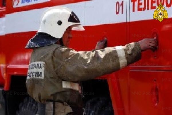Ночью на улице Красных Партизан в Брянске в огне погибла женщина