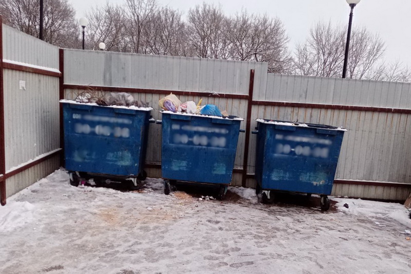 В Брянской области в рамках «реформы чистоты» установили более 700 контейнеров для мусора