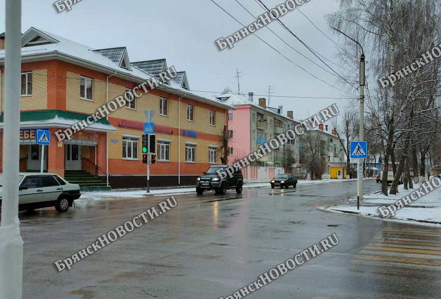 Отечественные авто в Брянской области обошли по популярности «немцев» и японцев»