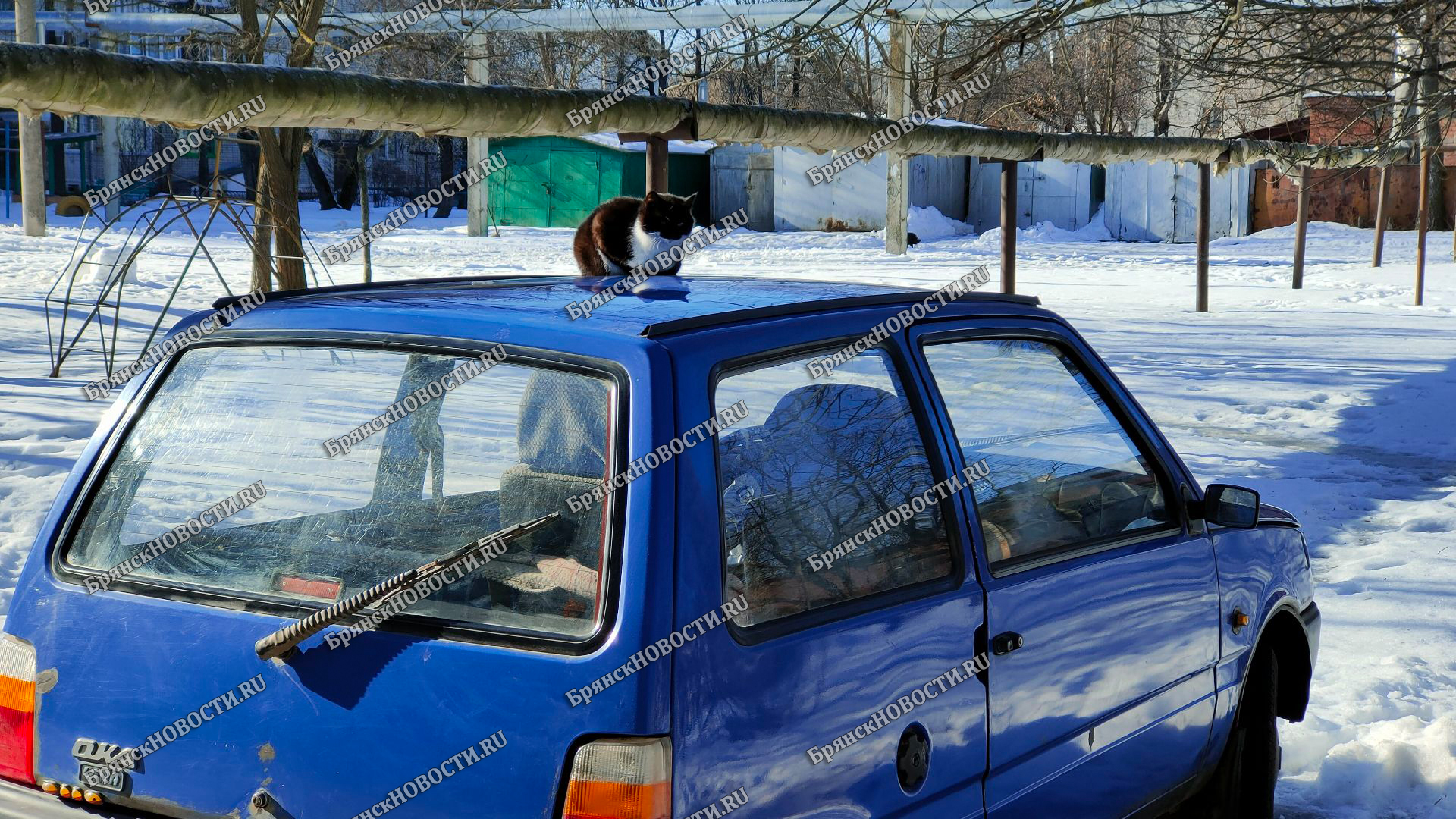 Водителей Брянской области ждут новые правила получения медсправки на права