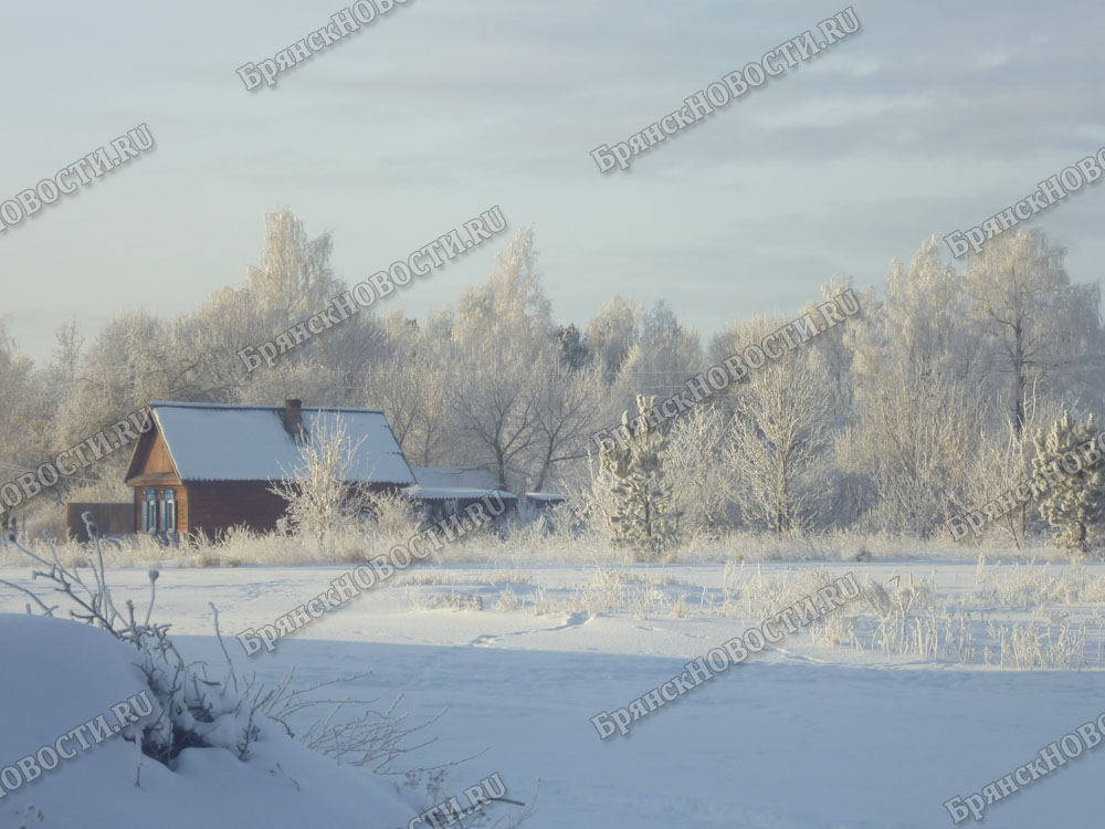 Брянская область в первой пятерке по доступности отдыха по программе туристического кешбэка в Центральной России