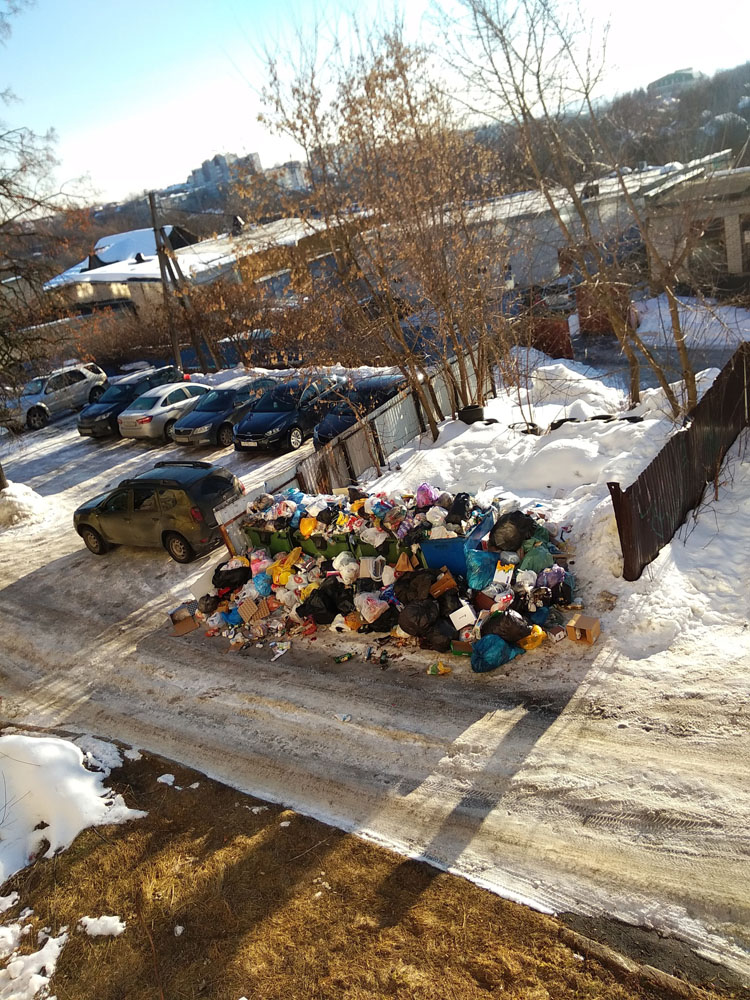 Пеструю свалку в переулке Брянска не могут ликвидировать из-за гололеда