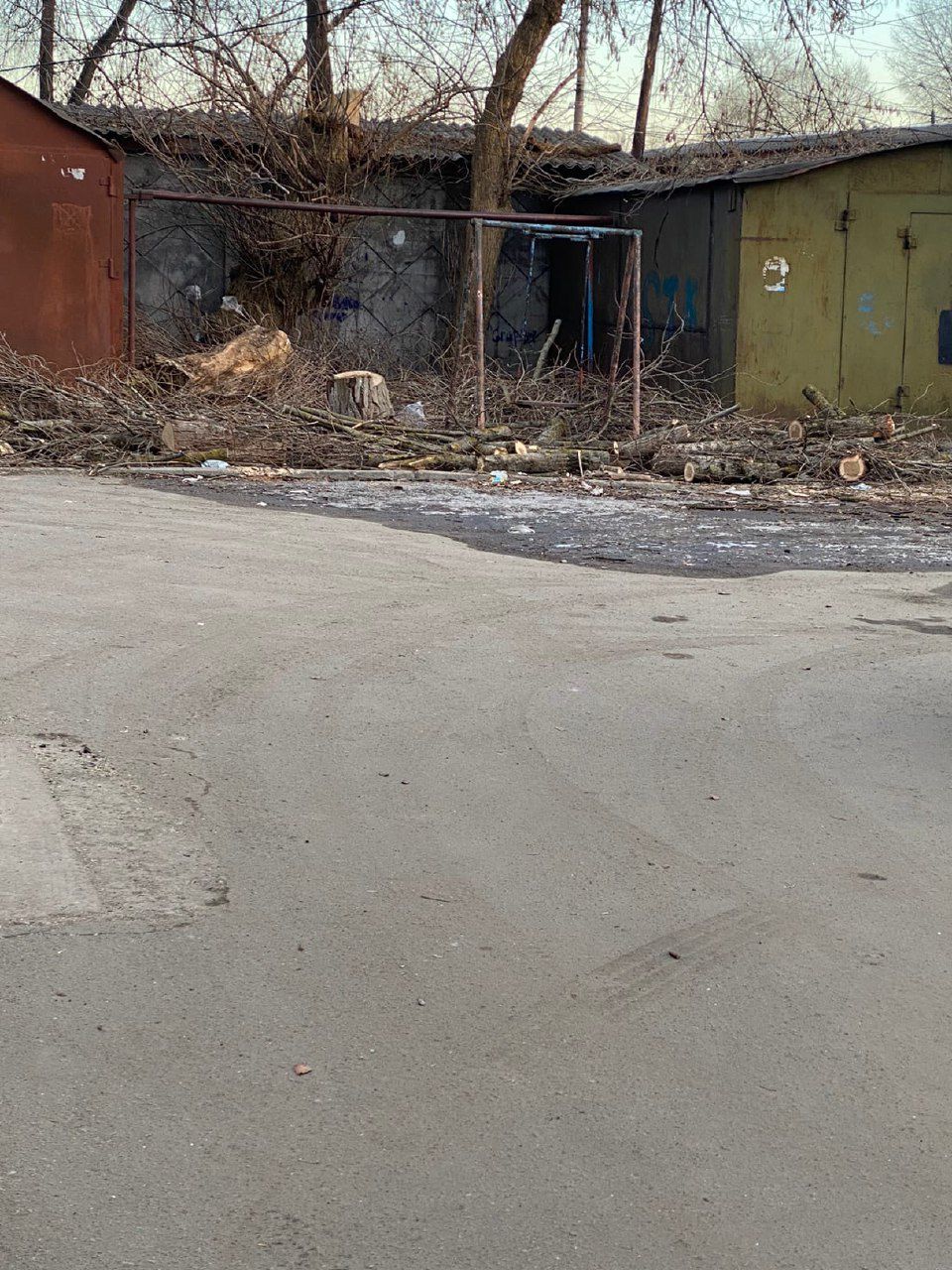 Двор по улице Димитрова в Брянске забросали спиленными деревьями