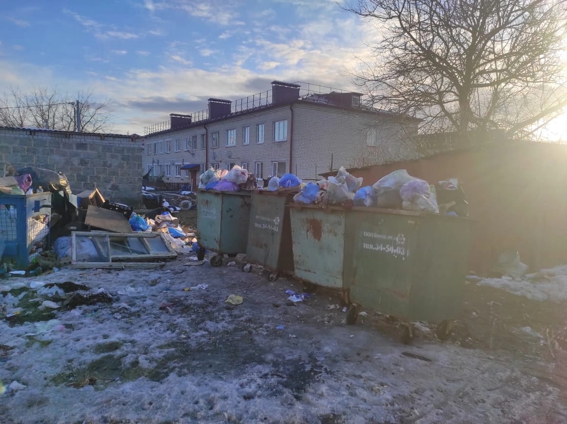 Во дворах поселка Локоть выросли мусорные баррикады | 02.03.2022 | Брянск -  БезФормата