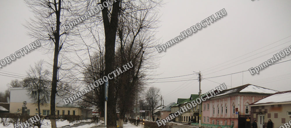 В Злынке забросили кладбища и не отреагировали даже на претензию прокурора