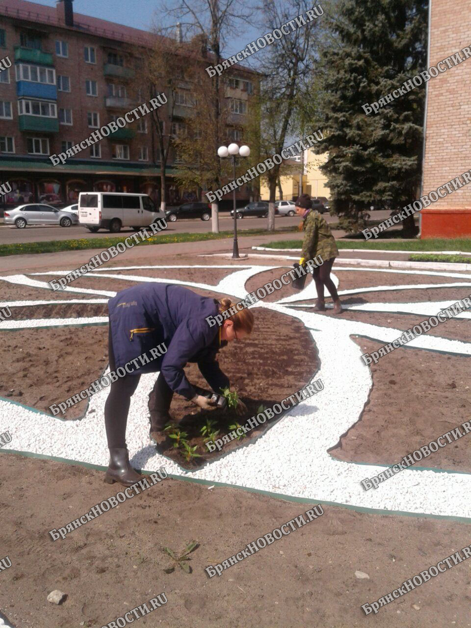 Лучших работников ЖКХ назвали в Новозыбкове