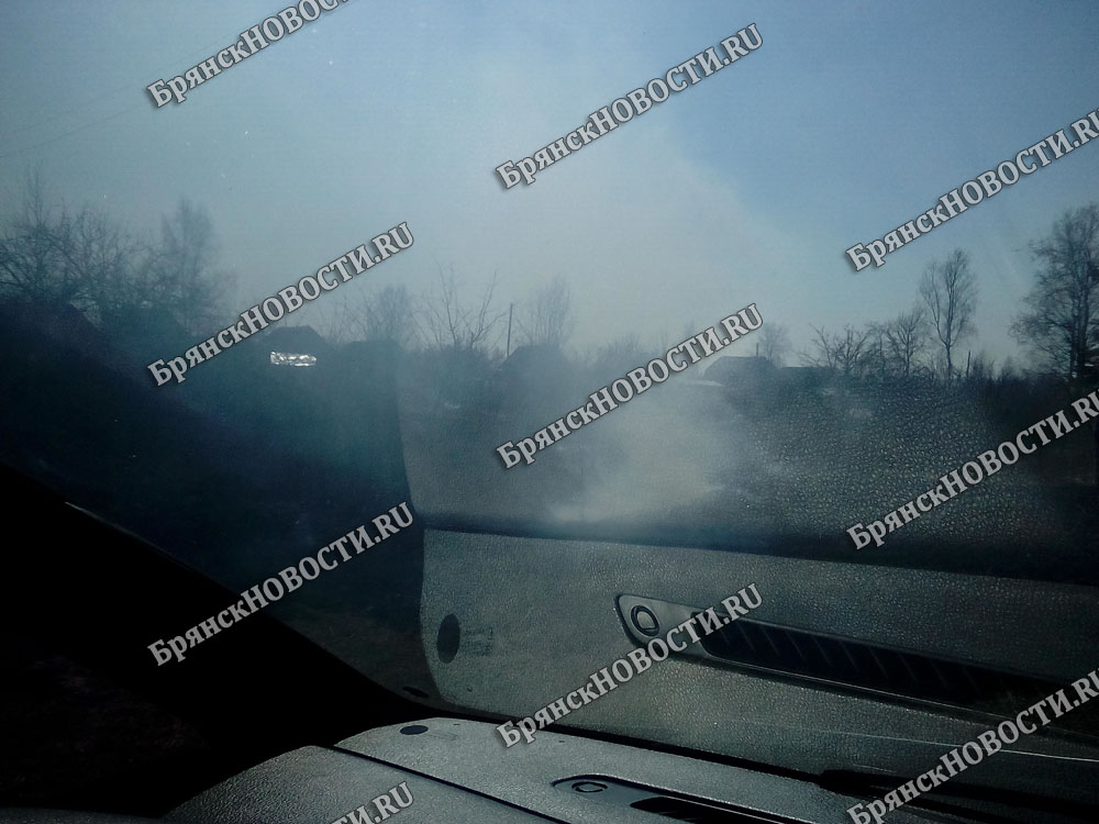 Округ в дыму. Вокруг Новозыбкова активно жгут траву и мусор
