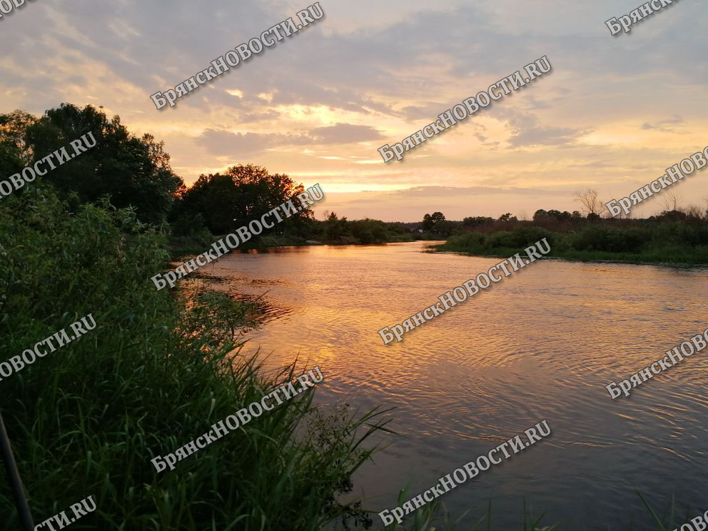 В Брянской области вводятся ограничения на рыбную ловлю