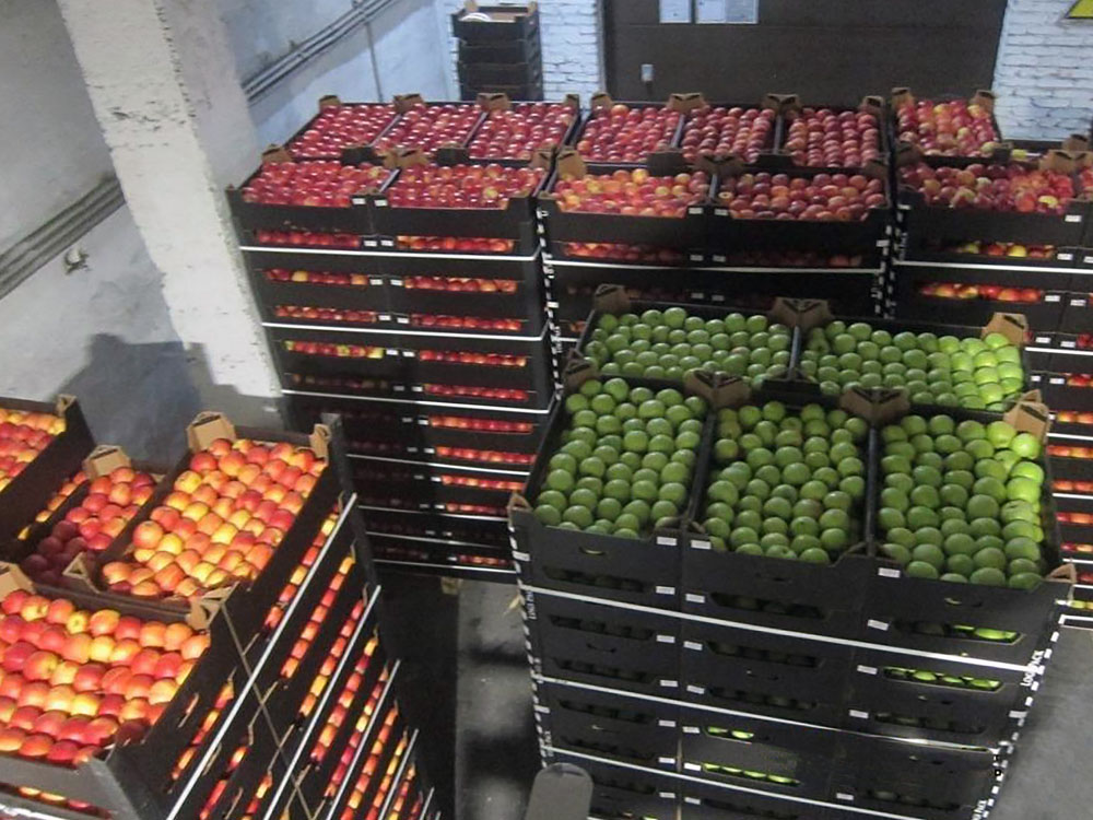 В Брянскую область продолжают поступать импортные фрукты и овощи