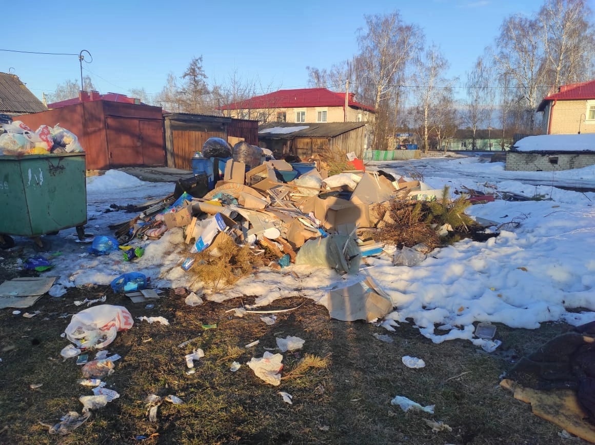 Во дворах поселка Локоть выросли мусорные баррикады | 02.03.2022 | Брянск -  БезФормата