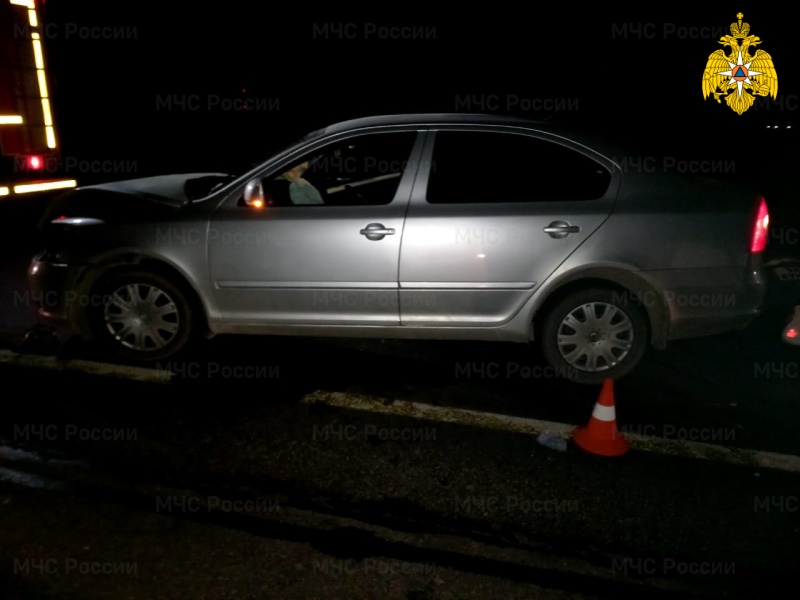 В дорожной аварии в Выгоничском районе пострадали люди