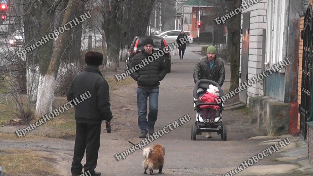 В Брянской области установлен единый порядок предоставления мер соцзащиты