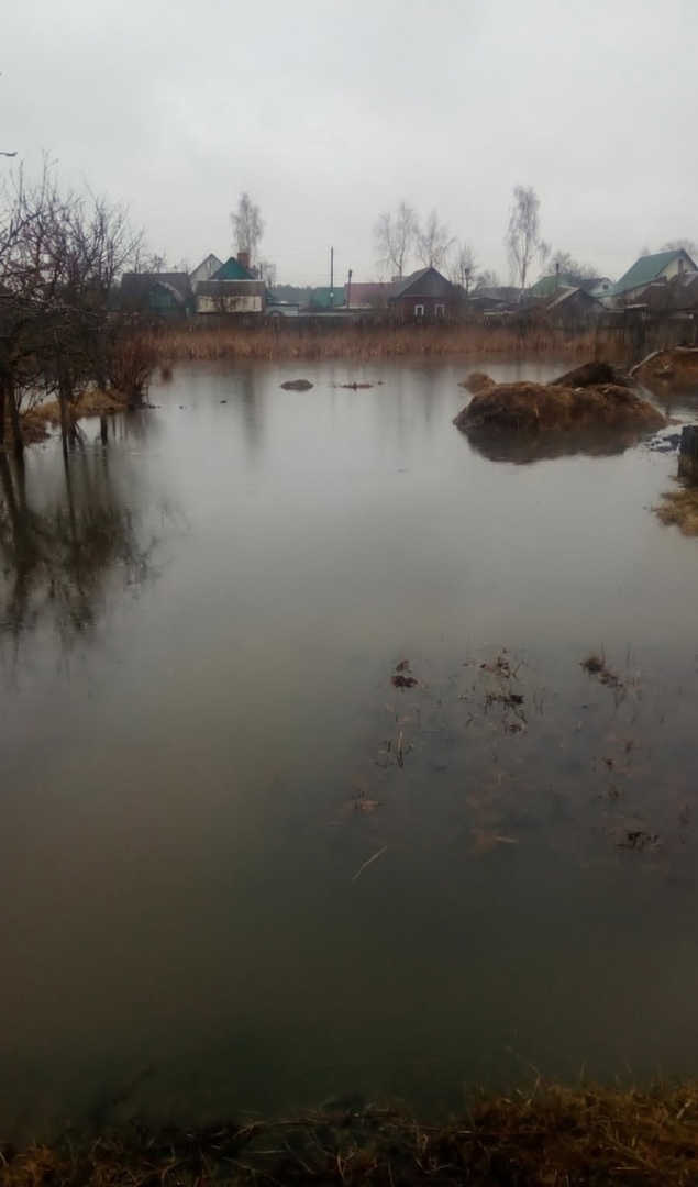 В Унече заливает огороды и дворы частных домов