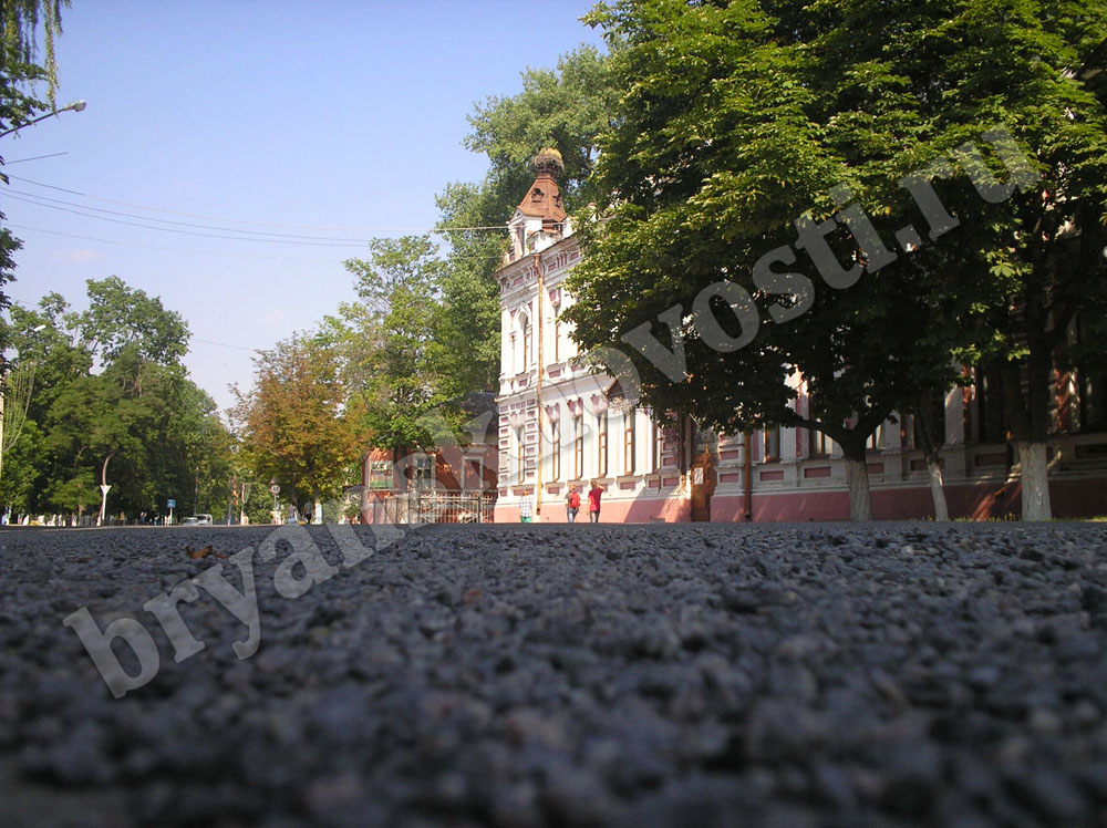 Крыша городского ДК в Новозыбкове больше не привлекает аистов