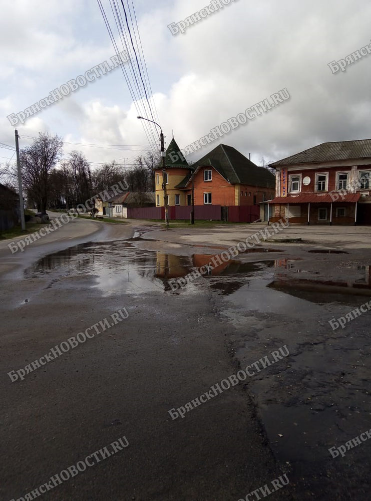 В Новозыбкове из-за дождей начало заливать приусадебные участки