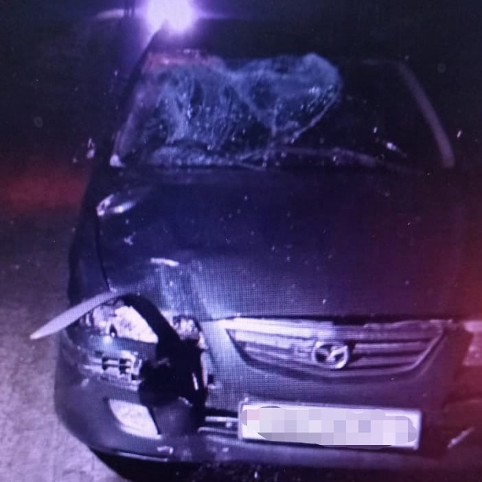 Пытавшийся поймать попутку пьяный пешеход погиб под колесами автомобиля на брянской трассе