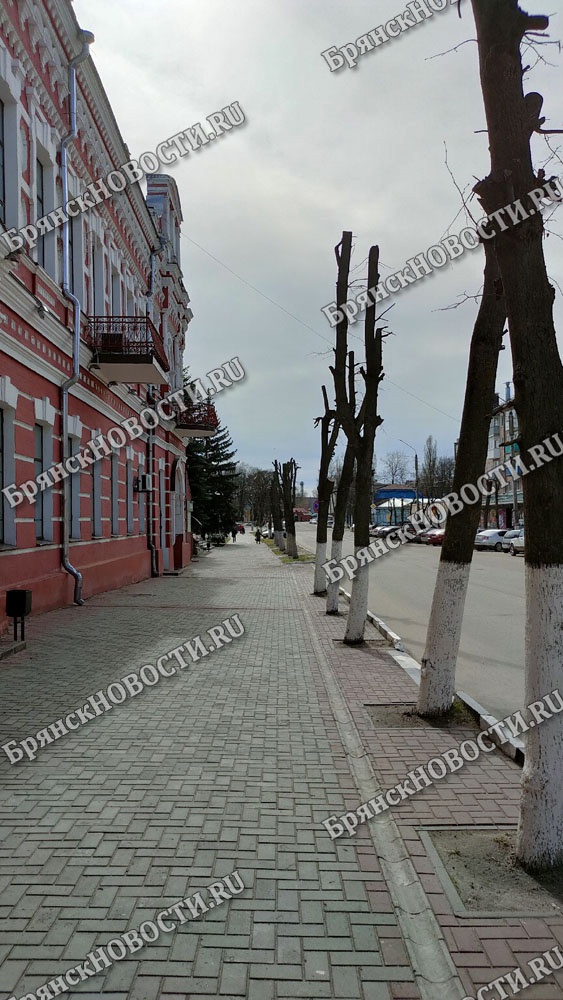 Названы даты ОГЭ на территории Новозыбковского городского округа