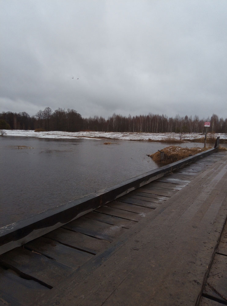 Дорогу затопило в Рогнединском районе