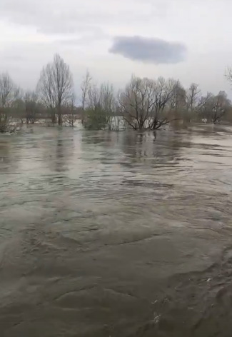 В Дятьково сняли на видео буйство стихии. Затопило подвесной мост