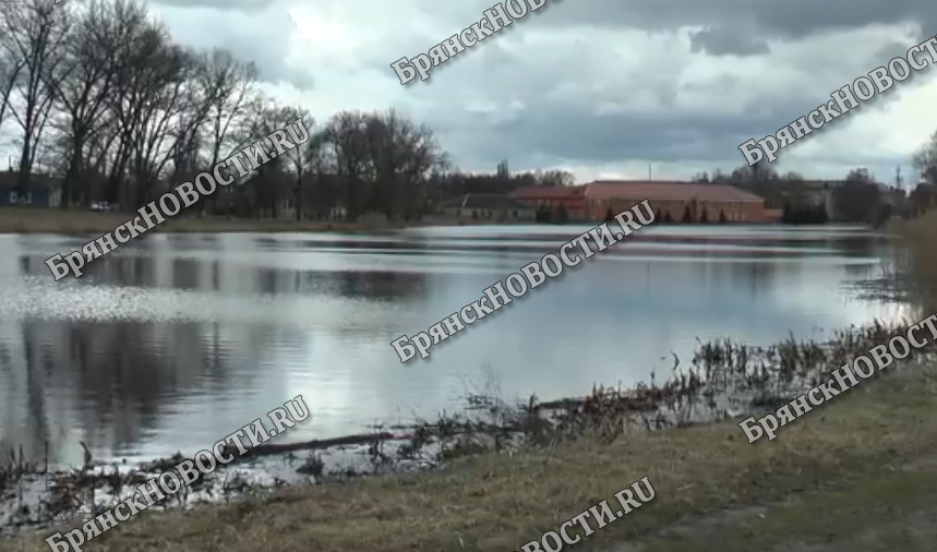 В Новозыбкове водитель на «Ладе» устроил заплыв в городском озере