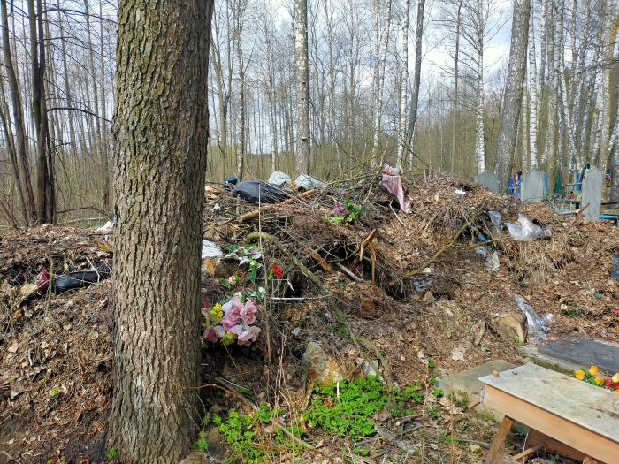 В Клинцовском районе села зарастают свалками