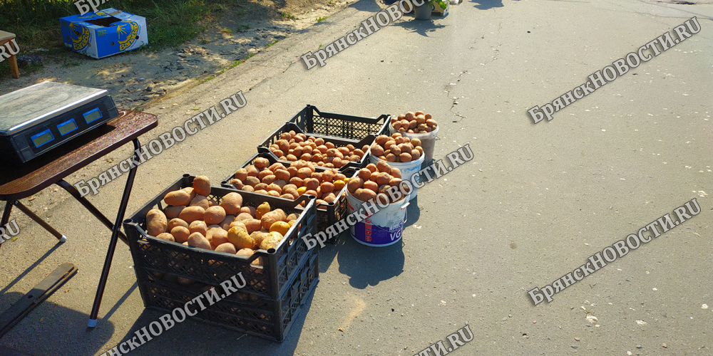 В Новозыбкове написали жалобу на продавца картофеля